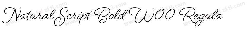 Natural Script Bold W00 Regular字体转换